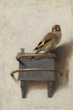 A Girl with a Broom-Carel Fabritius-Giclee Print