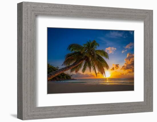 Caresses in the sun-Marco Carmassi-Framed Photographic Print