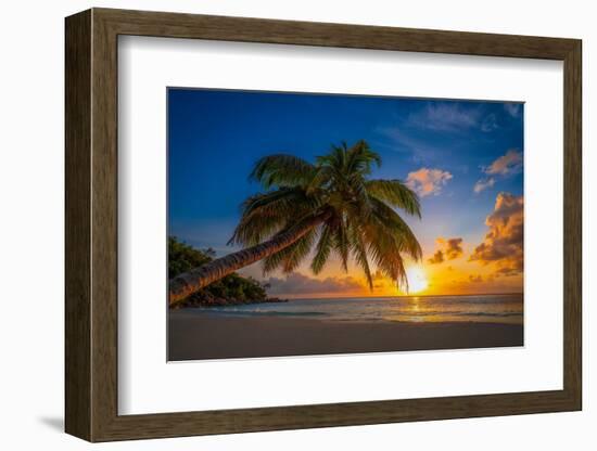 Caresses in the sun-Marco Carmassi-Framed Photographic Print