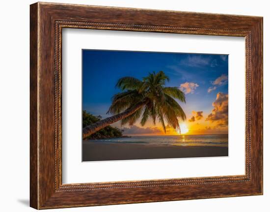 Caresses in the sun-Marco Carmassi-Framed Photographic Print