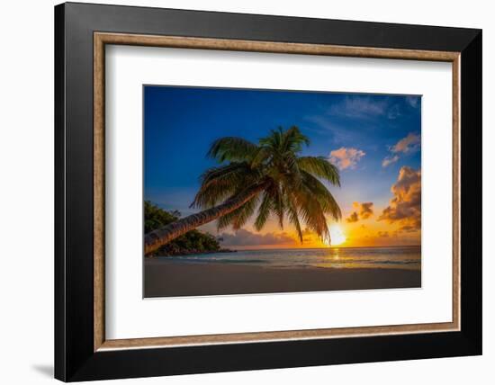 Caresses in the sun-Marco Carmassi-Framed Photographic Print