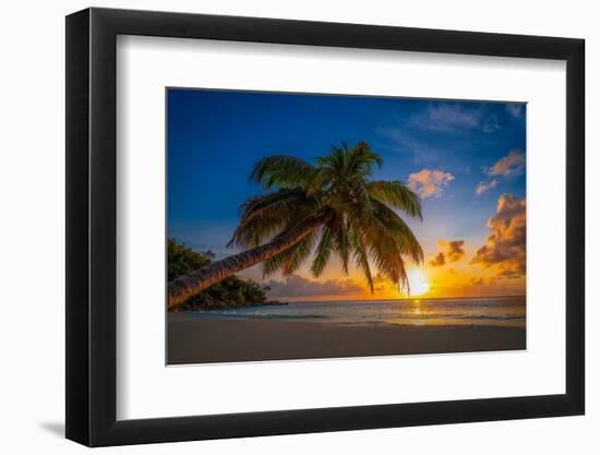 Caresses in the sun-Marco Carmassi-Framed Photographic Print