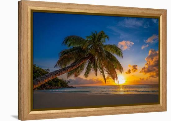 Caresses in the sun-Marco Carmassi-Framed Premier Image Canvas