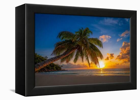 Caresses in the sun-Marco Carmassi-Framed Premier Image Canvas