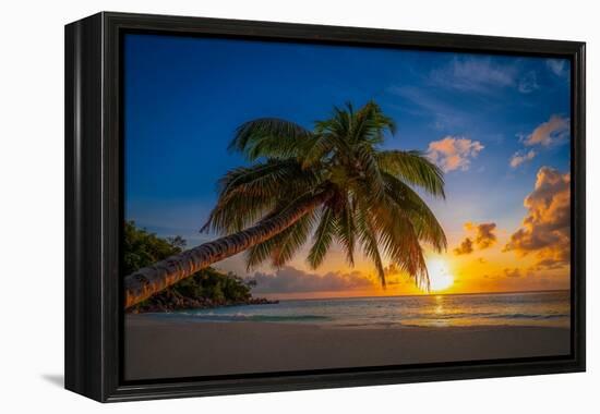 Caresses in the sun-Marco Carmassi-Framed Premier Image Canvas
