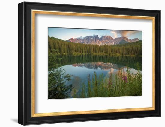 Carezza's Lake, Dolomites, Bolzano, Trentino Alto Adige, Italy.-ClickAlps-Framed Photographic Print