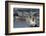 Cargo ship, Otaru Port, Hokkaido Prefecture, Japan, Asia-Richard Cummins-Framed Photographic Print