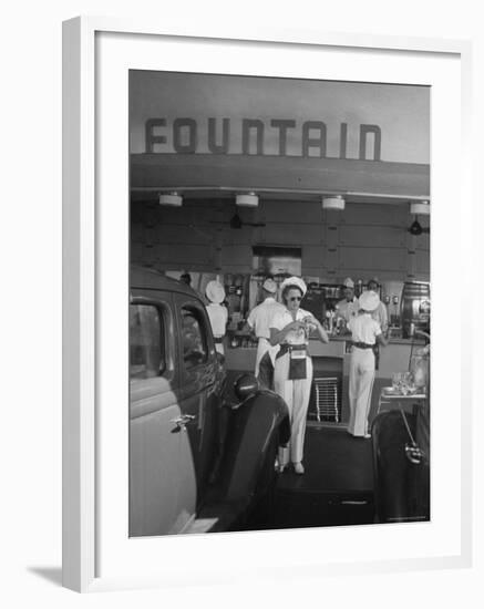 Carhops Busy with Orders at a Drive in Soda Fountain-Peter Stackpole-Framed Photographic Print