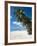 Carib Beach, Barbados, Windward Islands, West Indies, Caribbean, Central America-Michael DeFreitas-Framed Photographic Print