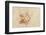 Caribbean, Anguilla. Close-Up Shot of Starfish in Sand-Alida Latham-Framed Photographic Print