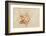 Caribbean, Anguilla. Close-Up Shot of Starfish in Sand-Alida Latham-Framed Photographic Print