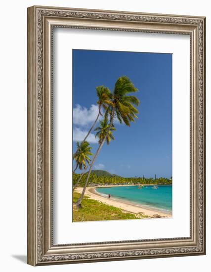 Caribbean, Antigua, Morris Bay, Morris Bay Beach-Alan Copson-Framed Photographic Print