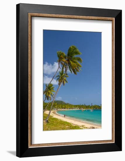 Caribbean, Antigua, Morris Bay, Morris Bay Beach-Alan Copson-Framed Photographic Print