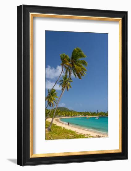 Caribbean, Antigua, Morris Bay, Morris Bay Beach-Alan Copson-Framed Photographic Print