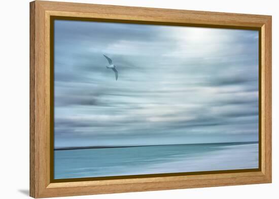 Caribbean, Bahamas, Little Exuma Island. Abstract of bird and beach.-Jaynes Gallery-Framed Premier Image Canvas