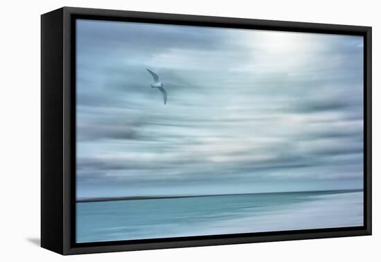 Caribbean, Bahamas, Little Exuma Island. Abstract of bird and beach.-Jaynes Gallery-Framed Premier Image Canvas