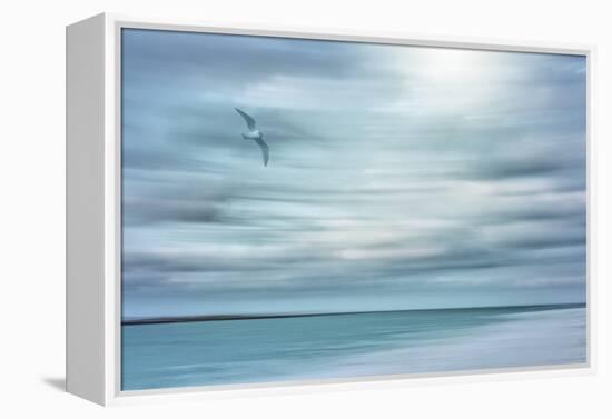 Caribbean, Bahamas, Little Exuma Island. Abstract of bird and beach.-Jaynes Gallery-Framed Premier Image Canvas