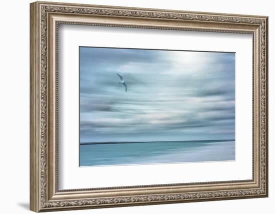 Caribbean, Bahamas, Little Exuma Island. Abstract of bird and beach.-Jaynes Gallery-Framed Photographic Print