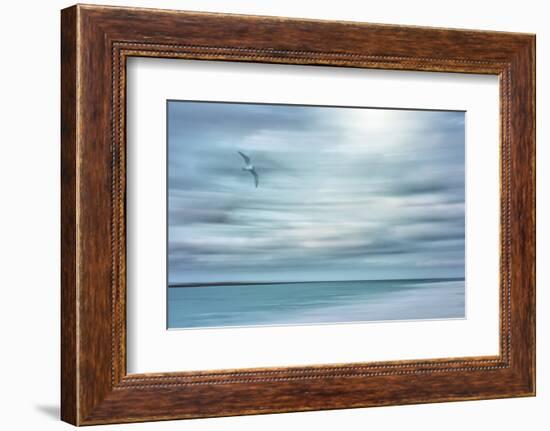 Caribbean, Bahamas, Little Exuma Island. Abstract of bird and beach.-Jaynes Gallery-Framed Photographic Print