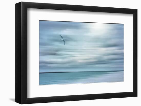 Caribbean, Bahamas, Little Exuma Island. Abstract of bird and beach.-Jaynes Gallery-Framed Photographic Print