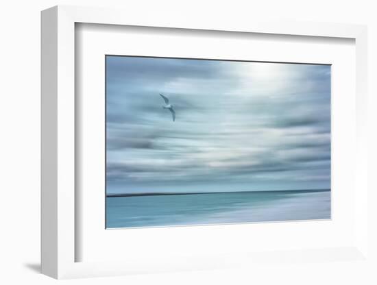 Caribbean, Bahamas, Little Exuma Island. Abstract of bird and beach.-Jaynes Gallery-Framed Photographic Print