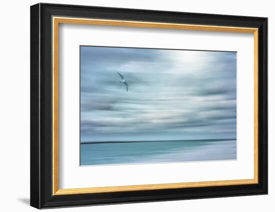 Caribbean, Bahamas, Little Exuma Island. Abstract of bird and beach.-Jaynes Gallery-Framed Photographic Print