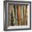 Caribbean Bamboo I-Tita Quintero-Framed Giclee Print