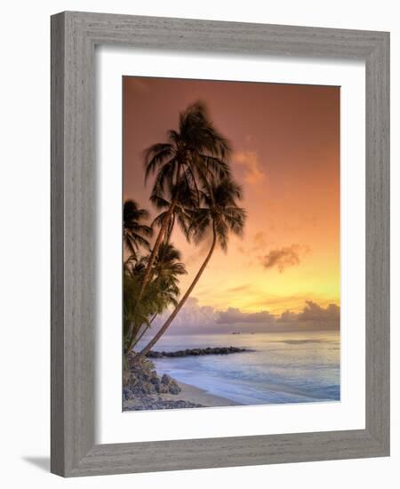 Caribbean, Barbados, Mullins Beach-Michele Falzone-Framed Photographic Print