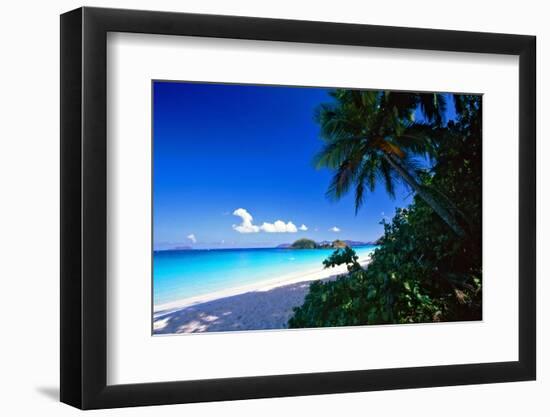 Caribbean Beach, Saint John, USVI-George Oze-Framed Photographic Print