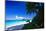 Caribbean Beach, Saint John, USVI-George Oze-Mounted Photographic Print