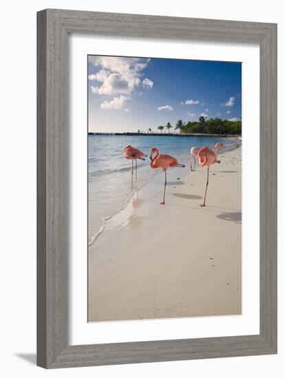 Caribbean Beach With Pink Flamingos, Aruba-George Oze-Framed Photographic Print