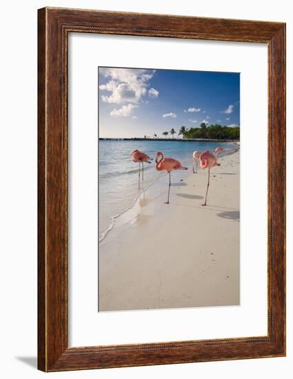 Caribbean Beach With Pink Flamingos, Aruba-George Oze-Framed Photographic Print