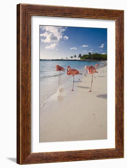 Caribbean Beach With Pink Flamingos, Aruba-George Oze-Framed Photographic Print