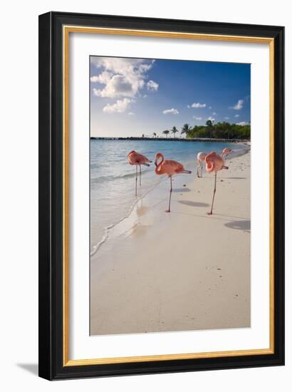 Caribbean Beach With Pink Flamingos, Aruba-George Oze-Framed Photographic Print