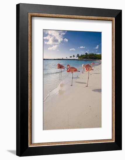 Caribbean Beach With Pink Flamingos, Aruba-George Oze-Framed Photographic Print