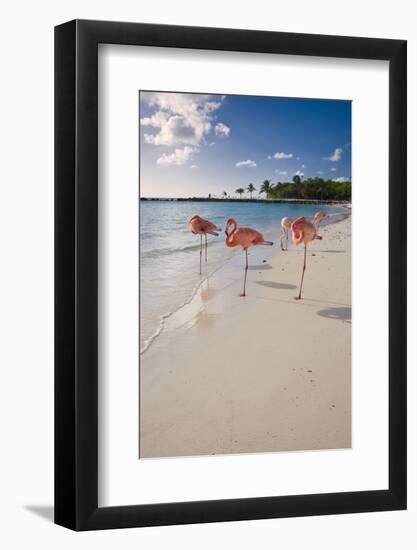 Caribbean Beach With Pink Flamingos, Aruba-George Oze-Framed Photographic Print