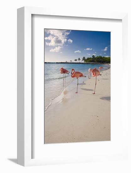 Caribbean Beach With Pink Flamingos, Aruba-George Oze-Framed Photographic Print