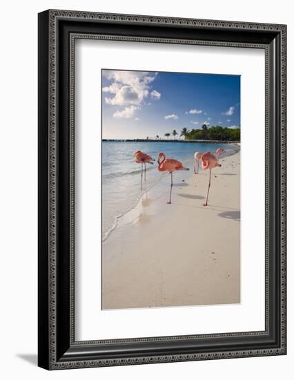 Caribbean Beach With Pink Flamingos, Aruba-George Oze-Framed Photographic Print