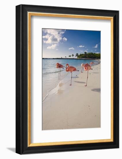 Caribbean Beach With Pink Flamingos, Aruba-George Oze-Framed Photographic Print