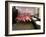 Caribbean Flamingos from Miami's Metrozoo Crowd into the Men's Bathroom-null-Framed Premium Photographic Print