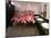 Caribbean Flamingos from Miami's Metrozoo Crowd into the Men's Bathroom-null-Mounted Photographic Print
