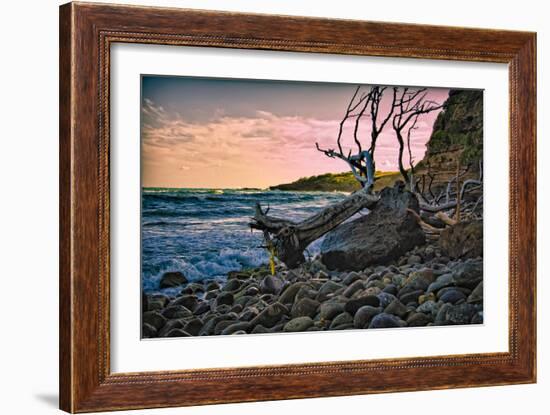 Caribbean, Grenada, Lasagesse Beach-Rona Schwarz-Framed Photographic Print
