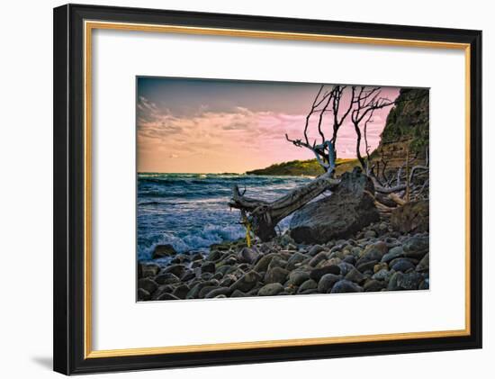 Caribbean, Grenada, Lasagesse Beach-Rona Schwarz-Framed Photographic Print