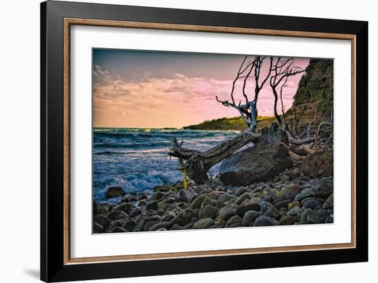 Caribbean, Grenada, Lasagesse Beach-Rona Schwarz-Framed Photographic Print