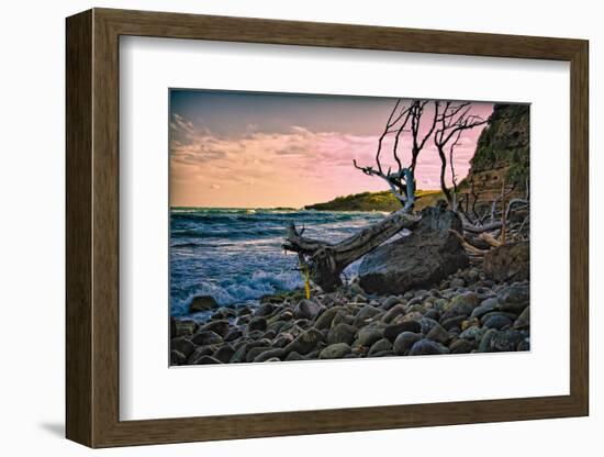 Caribbean, Grenada, Lasagesse Beach-Rona Schwarz-Framed Photographic Print