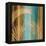 Caribbean II-John Seba-Framed Stretched Canvas