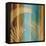 Caribbean II-John Seba-Framed Stretched Canvas