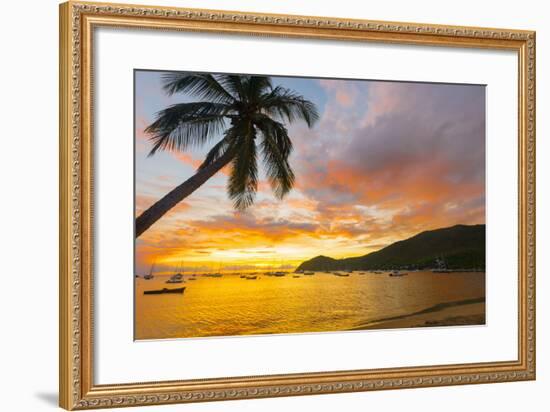 Caribbean, Martinique, Les Anse D'Arlet, Grand Anse Beach-Alan Copson-Framed Photographic Print