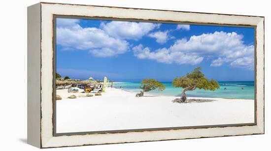 Caribbean, Netherland Antilles, Aruba, Divi Divi Trees on Eagle Beach-Jane Sweeney-Framed Premier Image Canvas