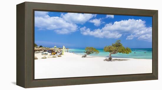 Caribbean, Netherland Antilles, Aruba, Divi Divi Trees on Eagle Beach-Jane Sweeney-Framed Premier Image Canvas